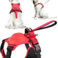 🎁Hot Sale 48% OFF⏳Dog Harness and Retractable Leash Set All-in-One