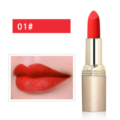 🔥HOT SALE🔥Non-Staining Moisturizing Matte Lipstick