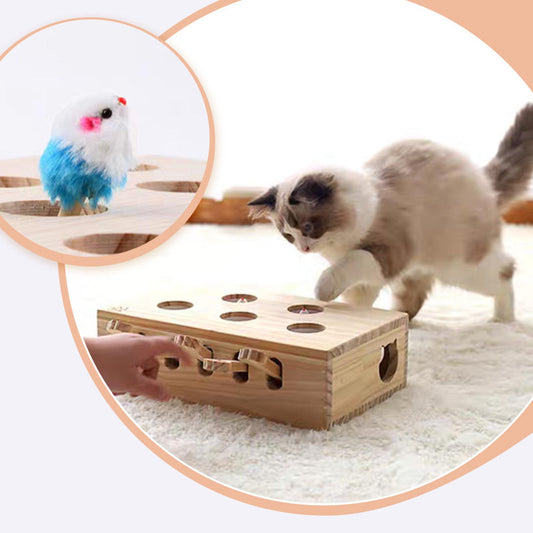 🐱Safe Interactive Cat Whack-a-Mole Toy